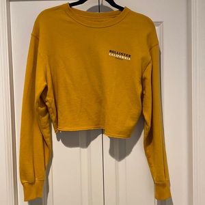 Hollister Tiger Cropped Crewneck
